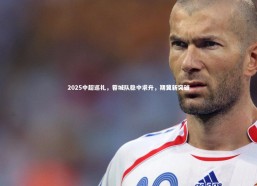 金年会官方网站：2025中超巡礼，蓉城队稳中求升，期冀新突破